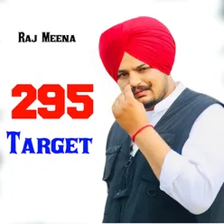 295 Target